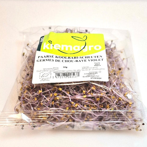Germe Chou Rave violet CAT I 50GR BE