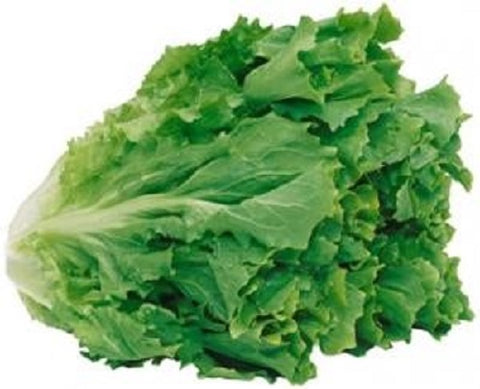 Scarole EPS CAT II 8PC FR