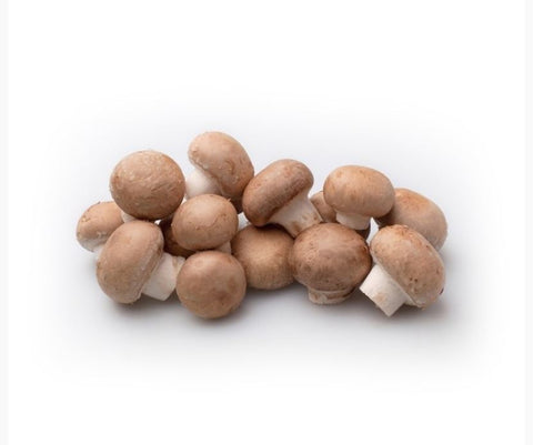 Champ. Chataigne Pot CAT 250g NL