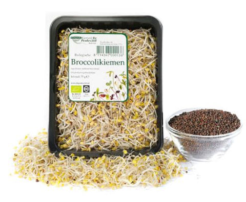 Germe Broccoli CAT I 50GR BE