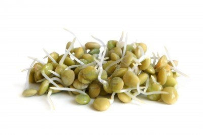 Germe Lentille CAT I 100GR BE