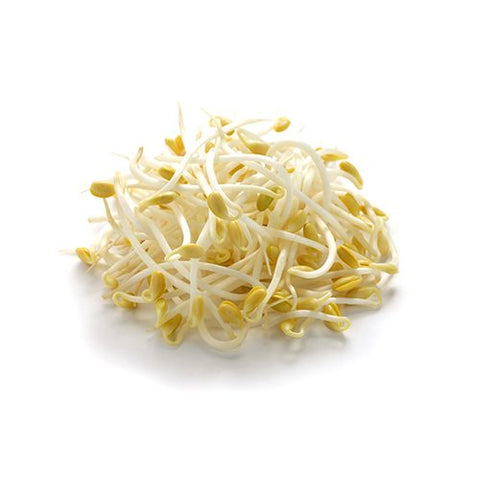 Germe Soja CAT I 1KG BE