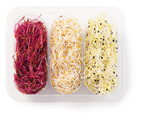 Germe Trio CAT I 100GR BE