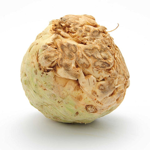 Celeri Rave CAT I 5STK BE