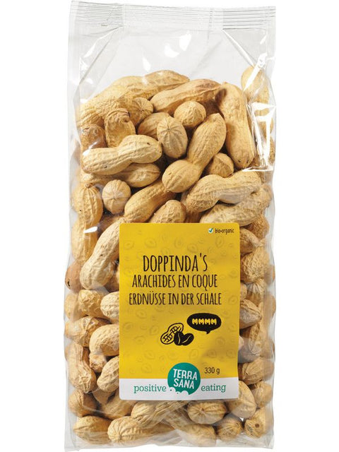 TERRASANA Arachides en coque 330g
