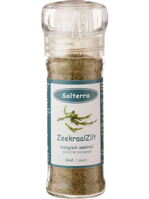 SALTERRA Sel de salicorne 25g