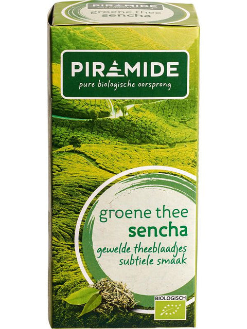 PIRAMIDE Thé vert sencha 20 infusette
