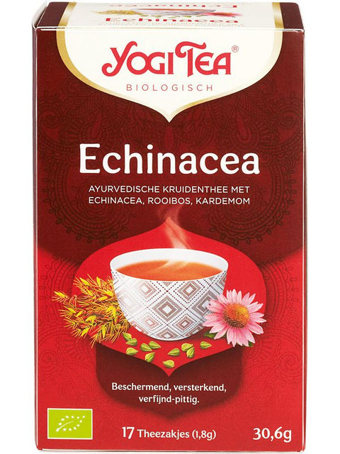 YOGI Echinacea 17 inf