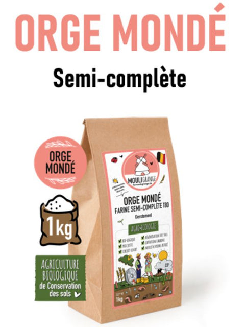 MOULIGRAN Farine orge 1/2 comp T80 1kg