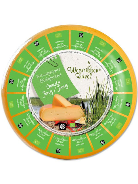 WEER Gouda jeune 5000g