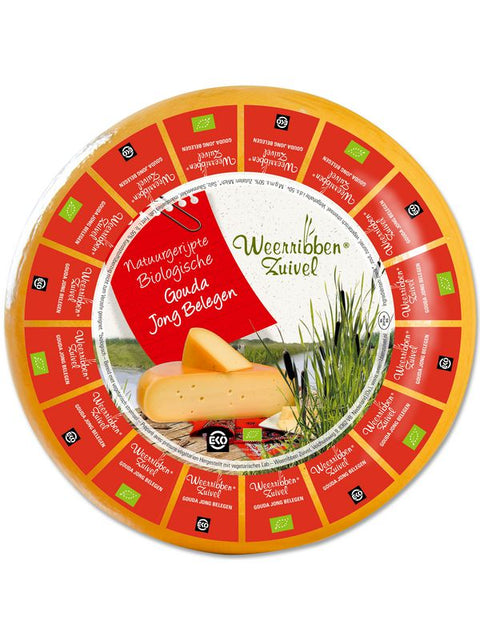WEER Gouda jeune repose 5000g