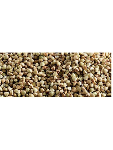 ATELIERSAR Graines de sarrasin 3kg