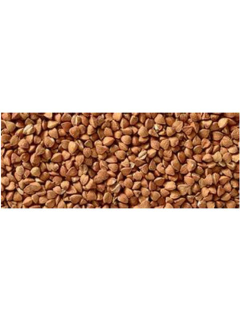 ATELIERSAR Kasha sarrasin torréfié 3kg