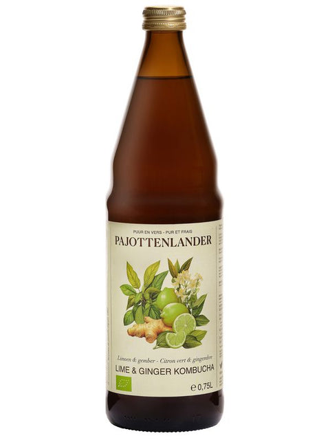 PAJOT Kombucha citron gingembre 75cl