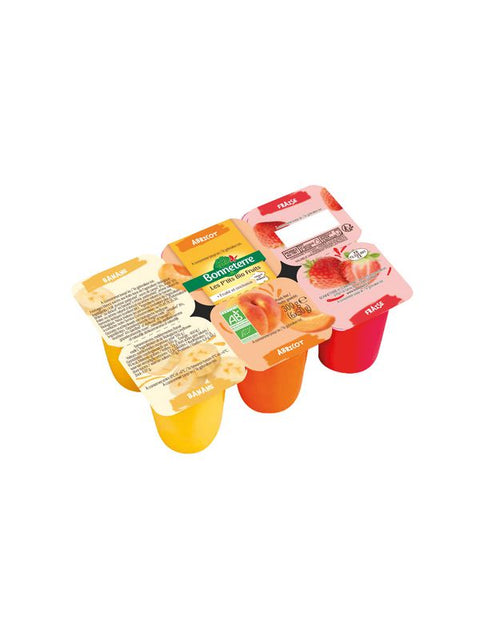 BONNETERRE Les P'tits Bio fruits 6x60g