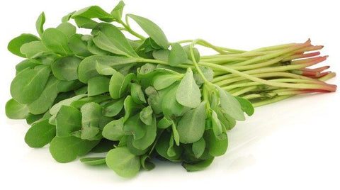 Pourpier Botte CAT I 8PC BE