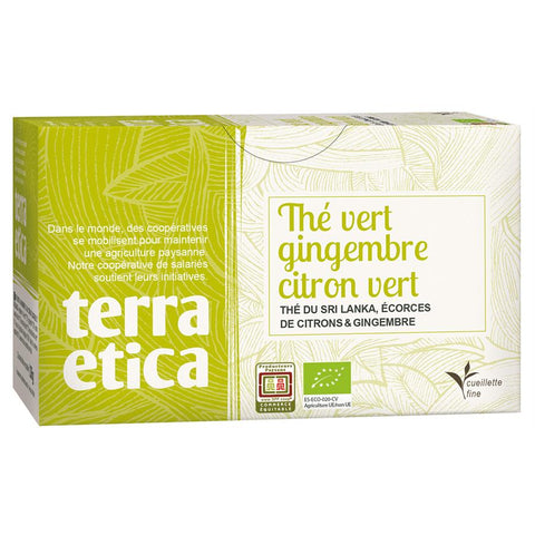 TERRA ETICA Thé vert gingembre 20 inf